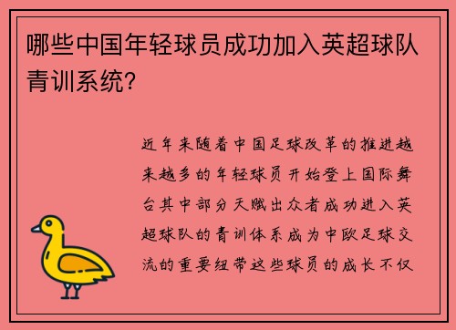 哪些中国年轻球员成功加入英超球队青训系统？